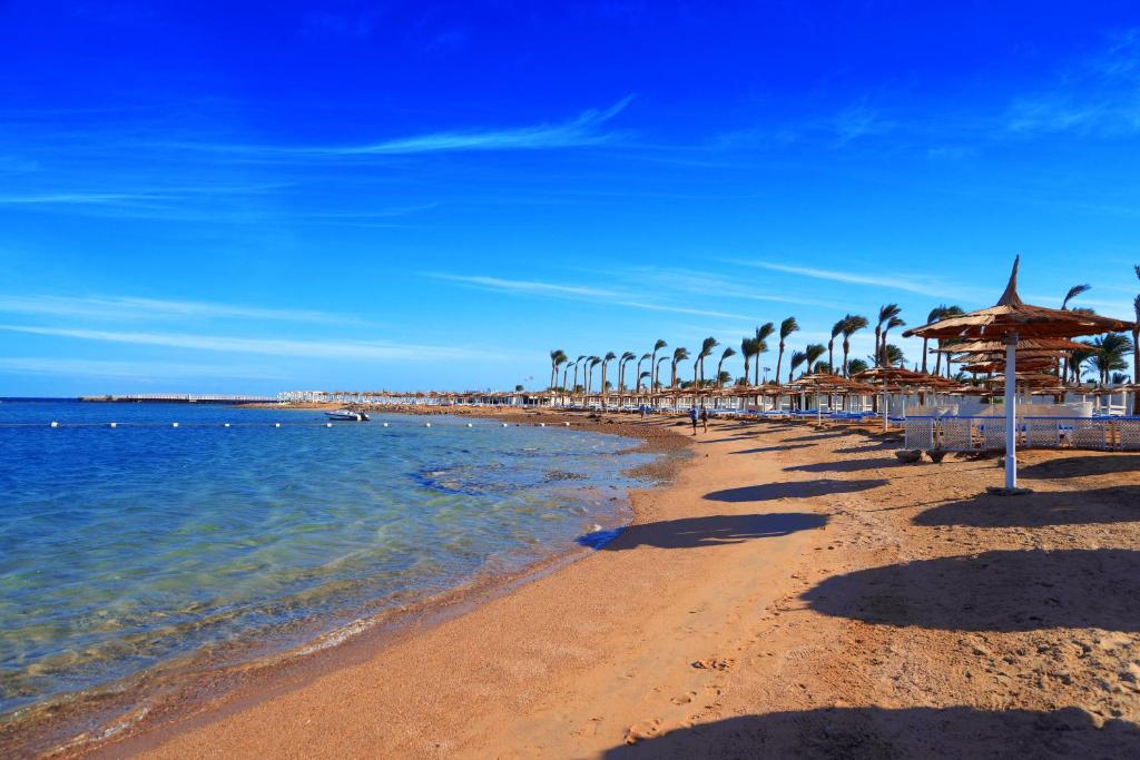 اقوي عروض منتجع الباتروس دانا بيتش ريزورت الغردقة - عروض فنادق ومنتجعات الغردقة | Dana Beach Resort 